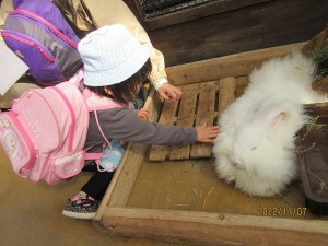 IMG_1811